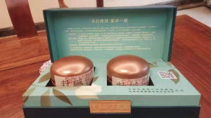 石家莊日報社數字報