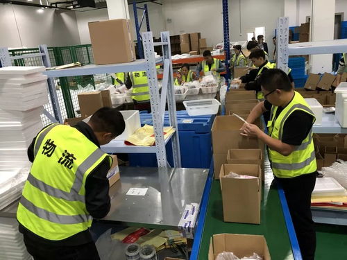 什么 破億 雙11 云起 臨浦 網(wǎng)紅曲奇 akoko 當(dāng)日銷售千萬(wàn) 看進(jìn)來