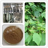 野生葡萄價(jià)格 型號(hào) 圖片